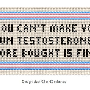 May include: Cross-stitch artwork with the text "IF YOU CAN'T MAKE YOUR OWN TESTOSTERONE, STORE BOUGHT IS FINE" in black on a beige background. The design is framed with blue, pink, and white lines. Design size: 98 x 43 stitches.