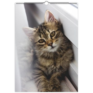 Wall calendars