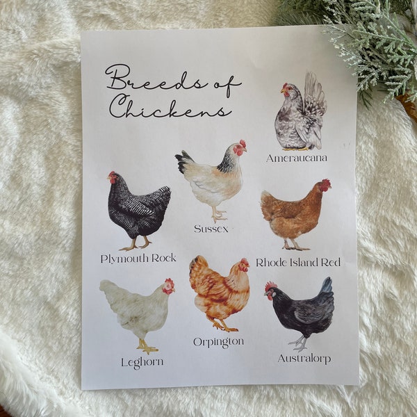 Chicken Breeds PDF Download