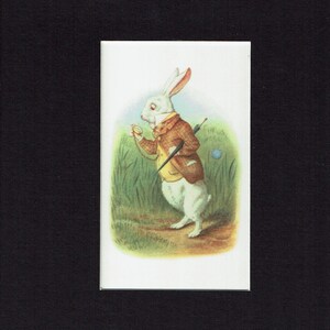 The MacMillan Alice | O Coelho realmente tirou um relógio do bolso do colete e olhou para ele | Impressão de cartão postal fosco