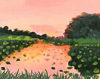 The Pink Lake