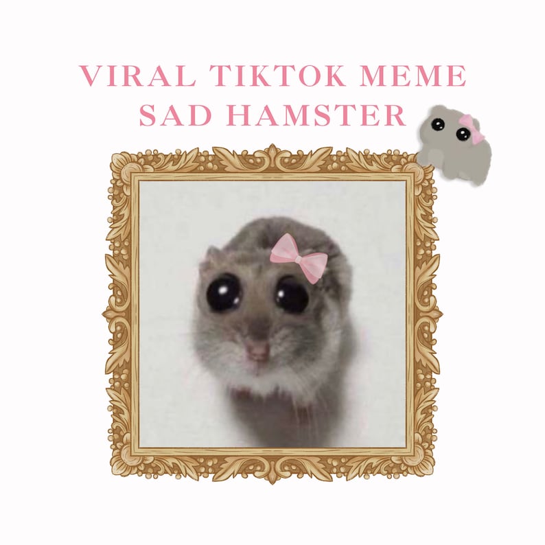 Trauriger Hamster-Häkelmuster, Meme-Häkelmuster, trauriger Hamster, DIGITALES PRODUKT, virales Meme, süßes Häkelmuster, kleiner Hamster gehäkelt Bild 2