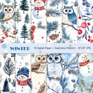 May include: Twelve digital paper designs featuring winter-themed illustrations. The designs include owls, snowmen, pine branches, berries, and snowflakes. Each design is a seamless pattern in a 12x12 inch format.