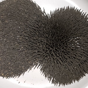 Magnetite Sand Magnetic Crushed Ore Loadstone food