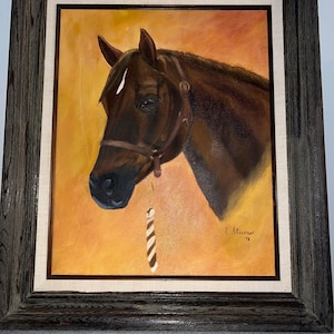 Pode incluir: Uma pintura a óleo emoldurada de uma cabeça de cavalo marrom com uma faixa branca na testa. O cavalo está usando um cabresto de couro marrom com uma corda trançada branca e marrom pendurada nele. O fundo é de cor laranja quente. A pintura é assinada "E. Stevens '78".