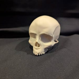 May include: A small, off-white human skull with visible eye sockets, nasal cavity, and teeth. The skull is positioned on a dark, textured surface, creating a contrast that highlights its details. The skull is a representation of anatomy.