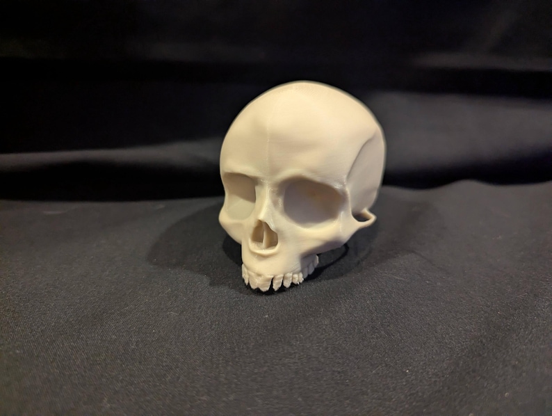 May include: A small, off-white human skull with visible eye sockets, nasal cavity, and teeth. The skull is positioned on a dark, textured surface, creating a contrast that highlights its details. The skull is a representation of anatomy.