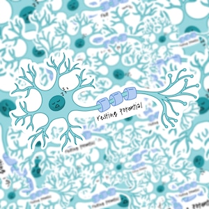 Resting Potential Neuron Sticker, Neuroscience Sticker, Laptop sticker, neurology neuron sticker, waterproof sticker, medical sticker