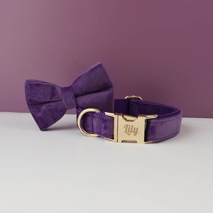 Personalized Purple Velvet Dog Collar Set: Engraved Buckle, Bow Tie & Leash