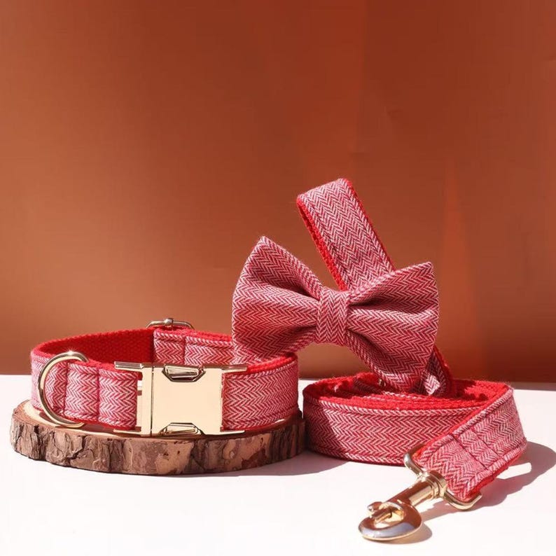 Suit Style Tweed Dog Collar With Bow Tie and Leash