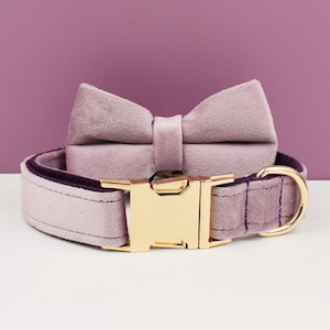 Personalized Velvet Dog Collar Set: Engraved Buckle, Bow & Leash