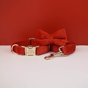 Personalized Dog Collar Set with Leash, Bow Tie & Harness | Engraved Collar with Metal Buckle | Custom Pet Gift | Red Velvet Puppy Collar