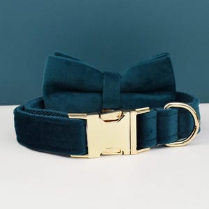 May include: A teal blue velvet dog collar with a matching bow tie and a gold metal buckle.