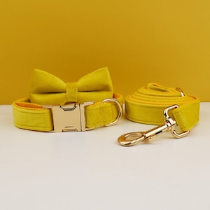 Personalized Dog Collar Set with Leash, Bow Tie & Harness | Engraved Collar with Metal Buckle | Custom Pet Gift | Yellow Velvet Puppy Collar