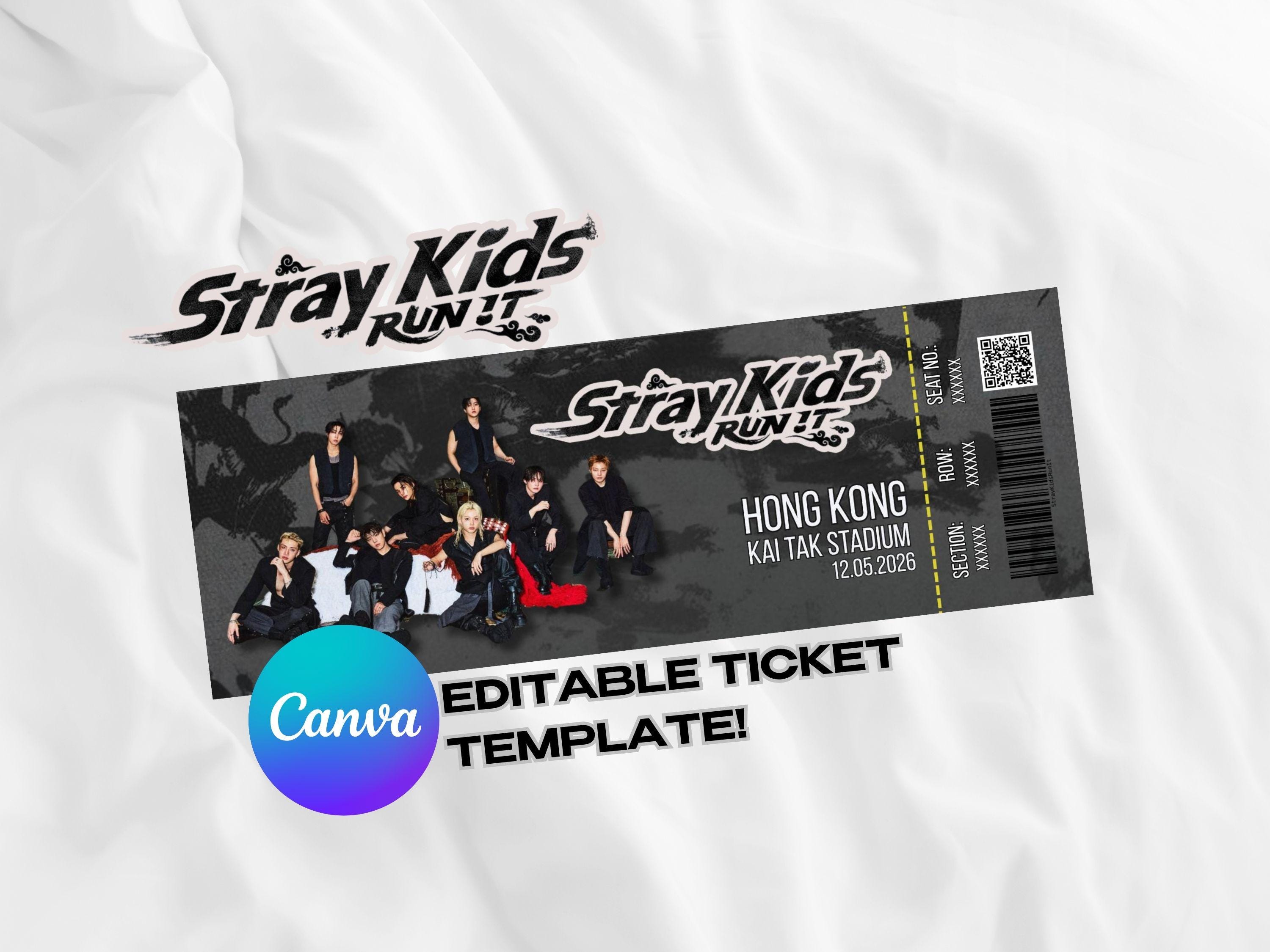 Stray Kids Concert Ticket - Etsy