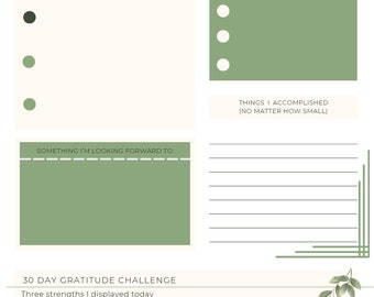 DIY Gratitude Journal Plr RESELL OPPORTUNITIES!!!