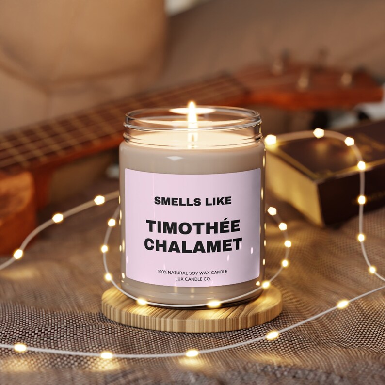 Smells Like Timothee Chalamet Candle, Funny Candle, Celebrity Candle