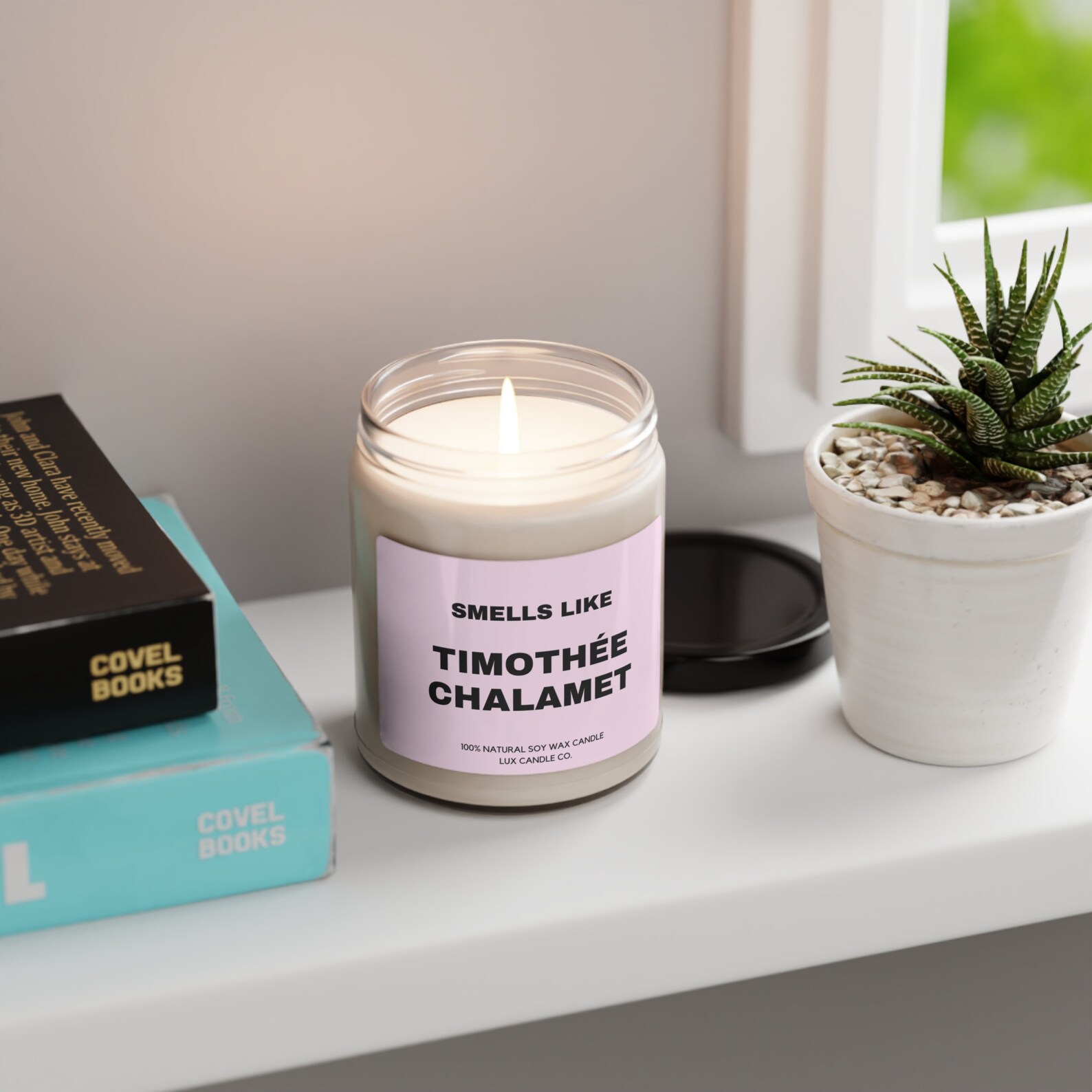 Smells Like Timothee Chalamet Candle, Funny Candle, Celebrity Candle
