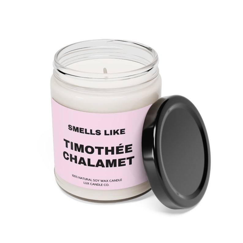 Smells Like Timothee Chalamet Candle, Funny Candle, Celebrity Candle