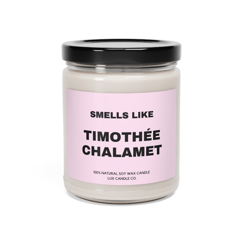 Smells Like Timothee Chalamet Candle, Funny Candle, Celebrity Candle