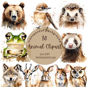 May include: A set of 10 watercolor animal illustrations with a transparent background. The animals include a bear, bird, hedgehog, frog, ferret, wolf, gazelle, rabbit, mouse, and owl. The illustrations are in a realistic style and are perfect for use in digital or printed projects.