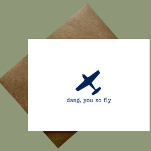 Carteira de Piloto / Graduação em Treinamento de Piloto / Militar / Piloto de Caça / Piloto de Linha Aérea / Academia de Serviço / Força Aérea / Marinha / Exército / Parabéns