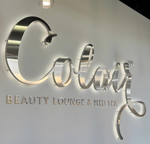 Salon Logo Sign, LED Sign, Reception Logo Sign, Backlit Metal Letters, 3D Metal Shop Sign, Custom Business Signboard, Channel Letters