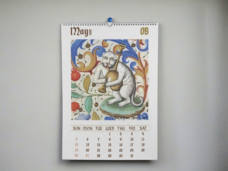 Weird Medieval Cats Calendar 2024, Ugly Cats Calendar, Funny Medieval