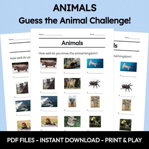 Animals Picture Quiz | Pub Quiz | Picture Round | Animals Quiz | Nature Quiz | General Knowledge | Trivia Questions | Game Night