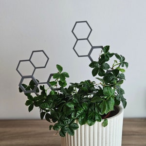 Könnte beinhalten: Eine grüne Pflanze mit kleinen Blättern, die in einem weißen Keramiktopf mit strukturierter Oberfläche wächst. Die Pflanze wächst an einem grauen, sechseckigen Metallgitter empor.