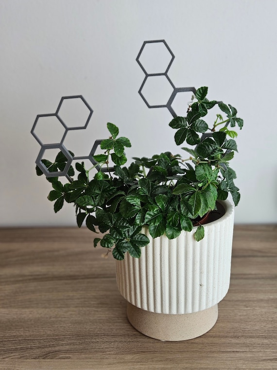 Modulare Rankhilfe - Rnky, Rankgitter fr Zimmerpflanzen, Design &  Individualitt fr deinen Blumentopf - Etsy.de