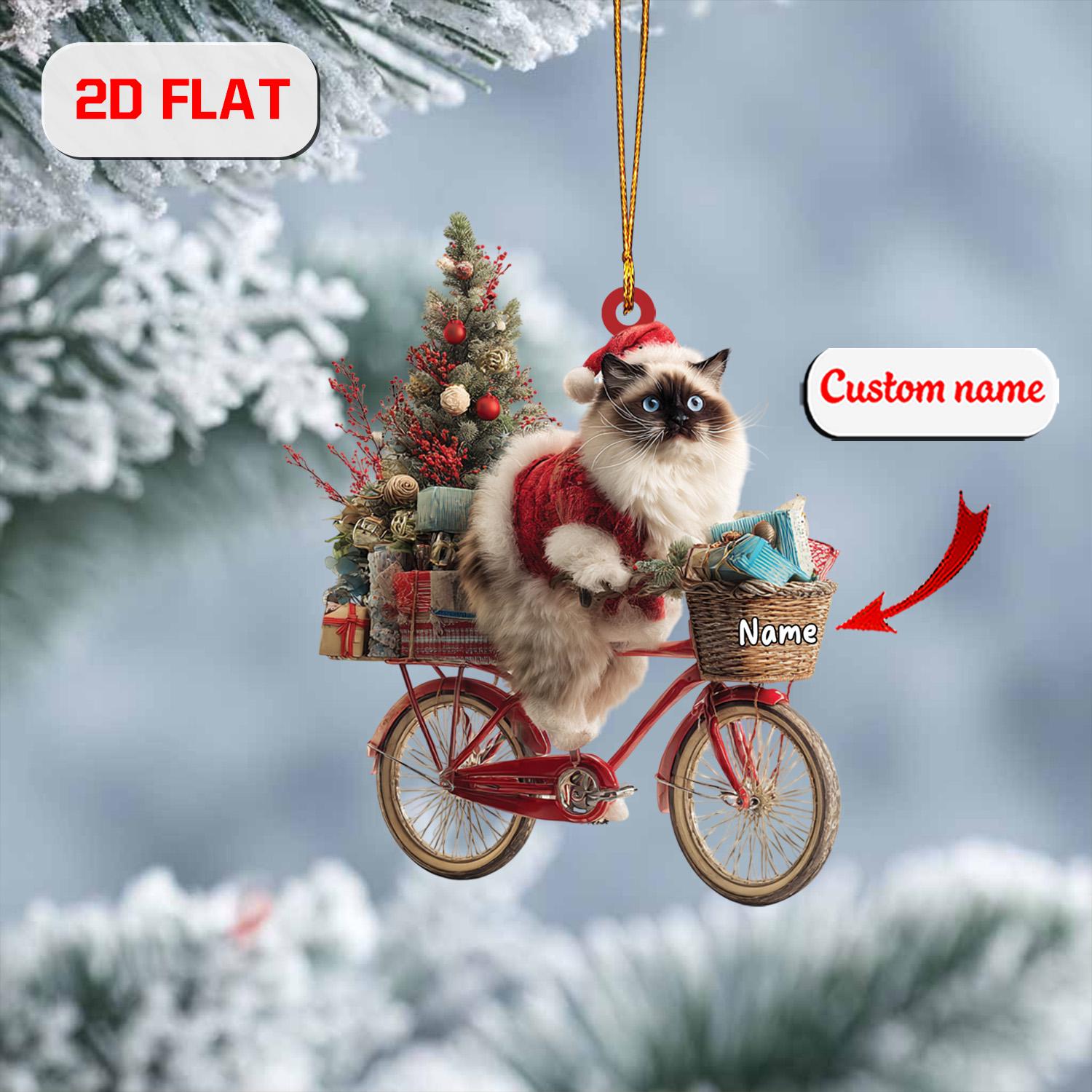 Langharige katten: ontdek de meest indrukwekkende rassen en hoe je voo –  Onlyfresh.com, image size:1500x1500