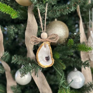 Può includere: Un ornamento natalizio a forma di conchiglia di ostrica dipinta d'oro con un fiocco di juta e una perla di legno. L'ornamento è appeso a un albero di Natale.