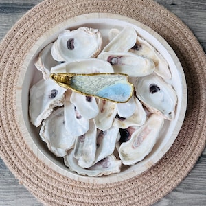 May include: A wooden bowl filled with oyster shells, with a small gold and blue dish with a map design in the centre.