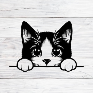 May include: Black and white cat graphic with large eyes and paws, peeking over a horizontal line. The cat's face is white with black ears and markings. The image is set against a white wood background.