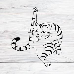 Cat Butt Svg, Funny Graphic Design, Instant Digital Download, Svg, Png, Jpg
