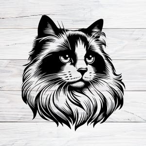 Ragdoll Cat Svg, Long Haired Kitty, Ragdoll Cat Portrait, For Crafts, T-Shirts, Mugs, Decor, Tattoos And Gifts For Cat Lovers, Svg Png, Jpg