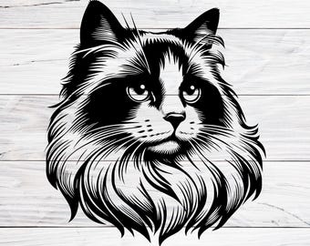 Gato Ragdoll SVG PNG JPG, Cara de gatito de pelo largo vectorial, Archivo de corte de retrato de gato, Diseño para amantes de las mascotas, Imágenes prediseñadas para Cricut Silhouette, Descarga digital