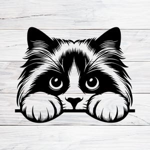 Ragdoll Cat Svg, Ragdoll Cat Peeking Design, Cute Cat Vector, For, Crafts, Decor, T-Shirts, Mugs And Gifts For Cat Lovers, Svg, Png, Jpg