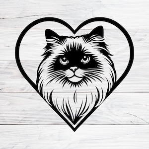 Ragdoll Cat Peeking, Ragdoll Cat With Heart, Cute Cat Design, For Crafts, Apparel, Decor And Gifts For Cat Lovers, Svg, Png, Jpg