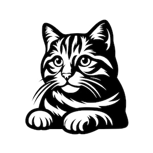 Ginger Cat Svg, Ginger Cat Peeking Graphic, Cute Cat Drawing, For Decor, Fashion, Gifts For Cat Lovers, Crafts, Mugs, Tees, Svg, Png, Jpg