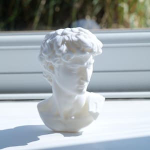 David by Michelangelo, 3D printed bust