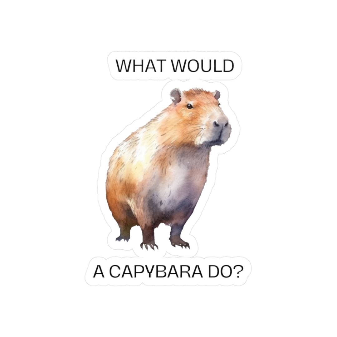 Capybara Gift Inspirational Capybara Sticker Decal of Capybara Cute ...