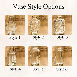 May include: Image showcasing six clear glass vase styles with varying heights and diameters. Style 1 is 12.8cm tall, Style 2 is 12.7cm, Style 3 is 10.9cm, Style 4 is 12.3cm, Style 5 is 12.5cm, and Style 6 is 12.5cm. The text "Vase Style Options" is at the top.