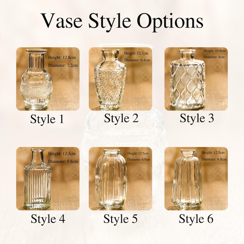 May include: Image showcasing six clear glass vase styles with varying heights and diameters. Style 1 is 12.8cm tall, Style 2 is 12.7cm, Style 3 is 10.9cm, Style 4 is 12.3cm, Style 5 is 12.5cm, and Style 6 is 12.5cm. The text "Vase Style Options" is at the top.