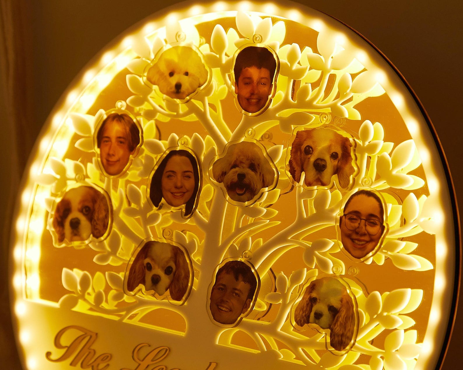 Personalized Family Tree Night Light,custom Acrylic LED Lamp,desk Lamp ...