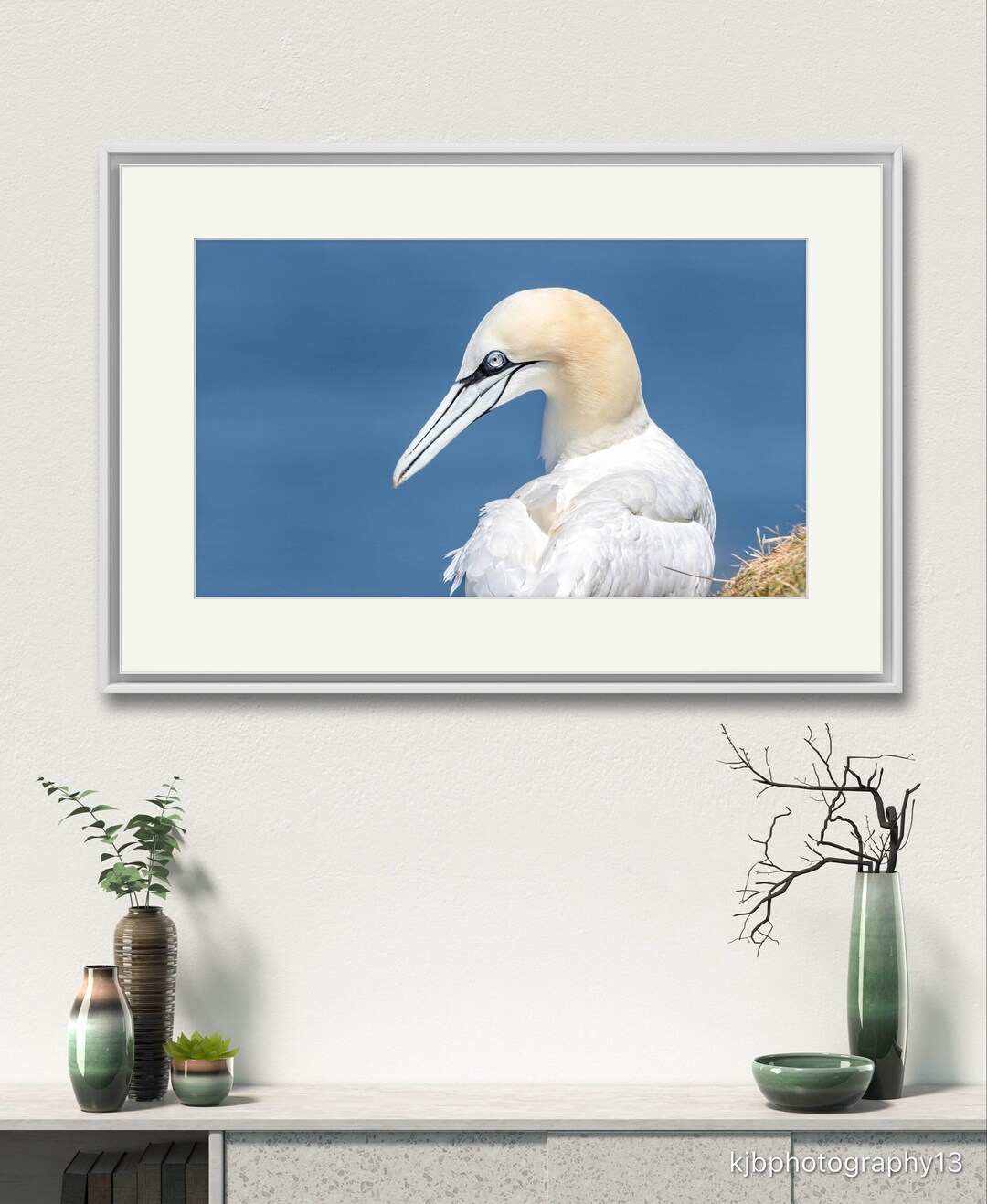 Wildlife Nature Print (northern Gannet )frame Not Included. - Etsy
