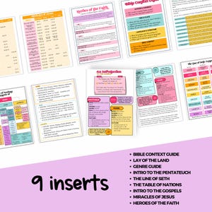 May include: Nine colorful inserts with text and graphics, including "Miracles of Jesus" and "Heroes of the Faith." The inserts feature titles like "Bible Context Guide" and "Intro to the Gospels," with a pink background and various fonts.