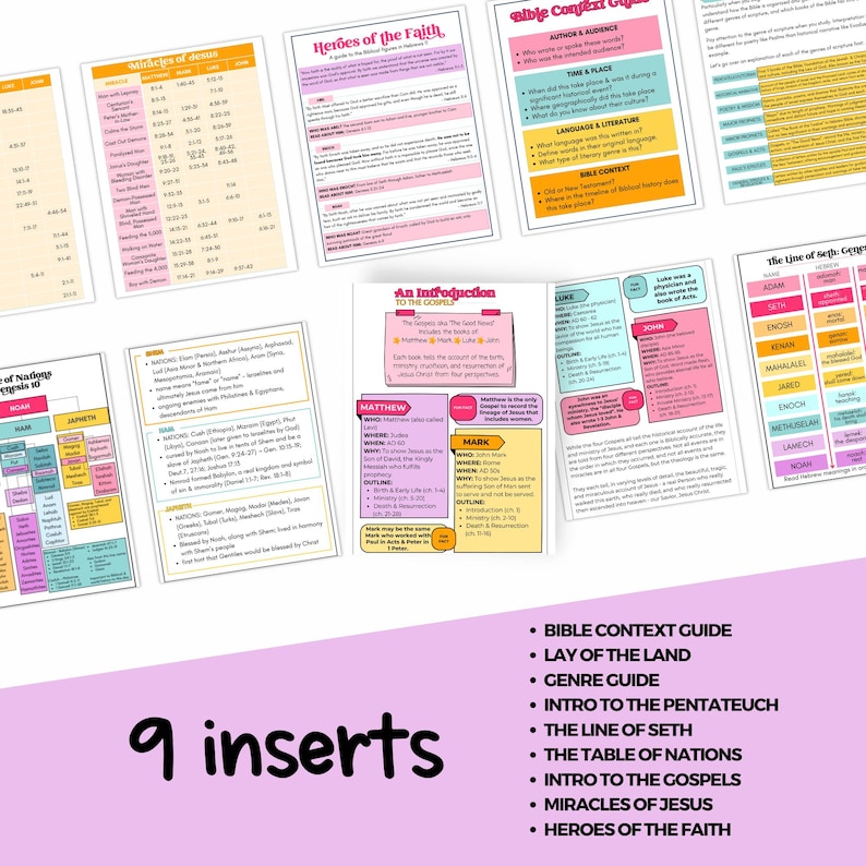 May include: Nine colorful inserts with text and graphics, including "Miracles of Jesus" and "Heroes of the Faith." The inserts feature titles like "Bible Context Guide" and "Intro to the Gospels," with a pink background and various fonts.