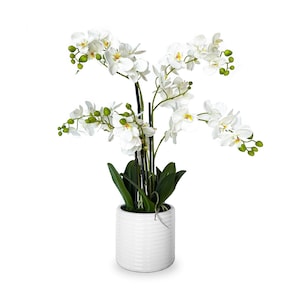 26" White Artificial Phalaenopsis Orchid in Ceramic Pot